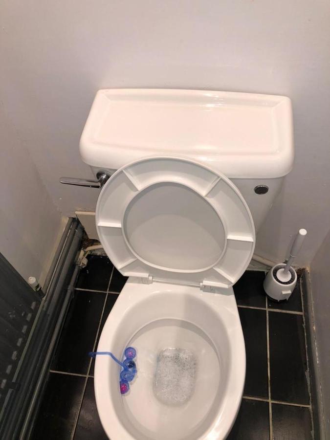 1 Comfortable Studio Apartment Brighton Ngoại thất bức ảnh